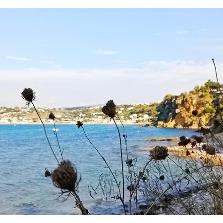 Case D'Anna Castellammare del Golfo Luaran gambar